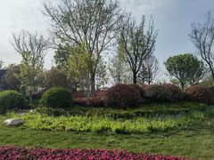 -秦文明广场
