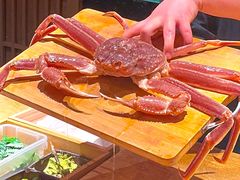 -蝉一日本料理(高新区店)