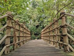 -华南国家植物园-售票处