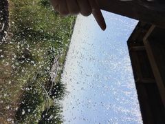 沈阳稻梦空间稻米文化主题公园-稻梦空间