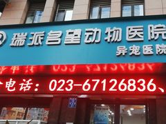 -瑞派名望24h动物医院异宠专科·猫专科·骨科·重症监护分院