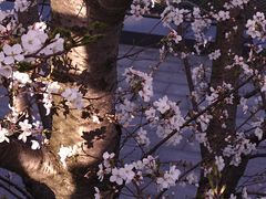 -龚海宝· 烧烤· 羊肉原切挂糊更好吃(庄市店)