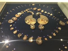 -青岛贝壳博物馆