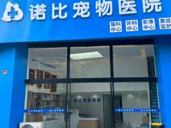 -诺比宠物医院心脏内科·泌尿肾内外科·骨科急重症