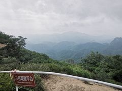 -六里坪国家森林公园