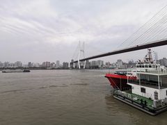 -紫· 割烹  Kappo Murasaki