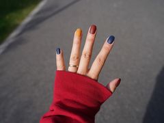 -昆山城市生态森林公园