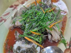 -河源万绿湖美思威尔顿酒店