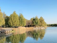 -大兴滨河森林公园