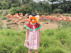 -新加坡飞禽公园