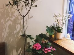 -琥珀咖啡 Ambercoffee
