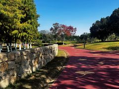 -春花秋色城市公园