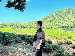 -中国茶叶博物馆(双峰馆区)