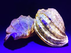 -石林冰雪海洋世界