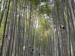 -宝岩生态观光园