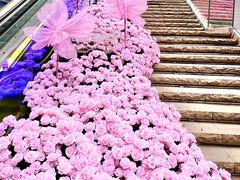 -万科生活广场(东莞松山湖店)