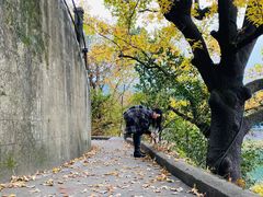 -溪口-滕头旅游景区