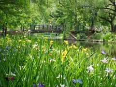 -上海共青森林公园