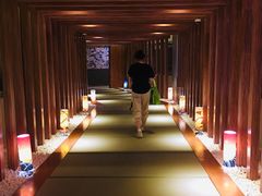-重庆南山海昌汤都