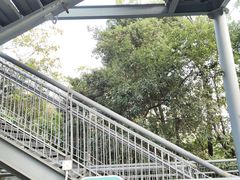 -佛山华盖山公园