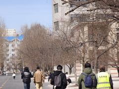 -东北农业大学饺子园