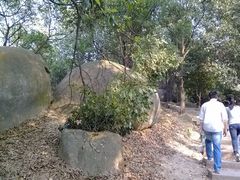 景点-火炉山森林公园