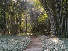 -广州雕塑公园