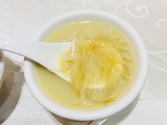 鸡煲海虎翅-凤城礼记鱼翅海鲜酒家(新马路总店)