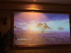 -都悦君豪足浴推拿(华府大道店)