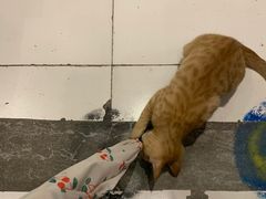 -螺大蛳柳州螺蛳粉·火锅·热干面(西城永捷店)