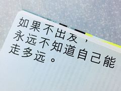 -溪岸路花鸟市场