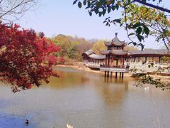 -岳麓山风景名胜区