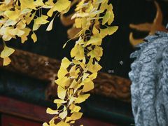 -宝通禅寺