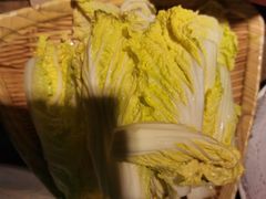 娃娃菜-福宝漠北·牛羊肉(广埠屯店)