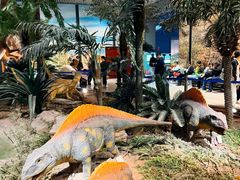 -湖南省地质博物馆