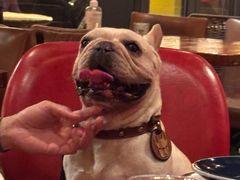 -TOMATITO(无限极荟店)