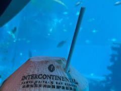 -海棠湾洲际-涛·海底餐厅·美人鱼·自助餐·海底隧道