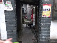 -临安城遗址(太庙遗址)