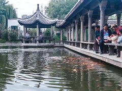 -观唐（国际）度假村温泉