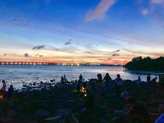 -宝安西湾红树林湿地公园