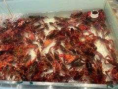 -星伦多自助料理·涮烤一体(杭州来福士店)