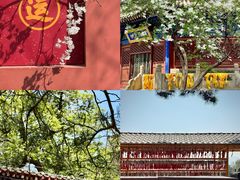 -潭柘寺景区