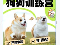-宠物寄养训练学校