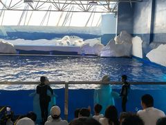 -秦皇岛乐岛海洋王国