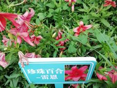 -文瀛公园
