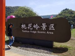 -桃花岭景区