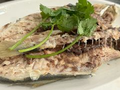 巴浪鱼饭-长平肥姐白粥·海鲜打冷