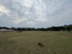 -中国天府农业博览园