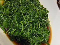 -月湖翠·上海菜(思南公馆淮海店)