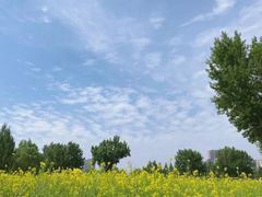 -长白岛森林公园